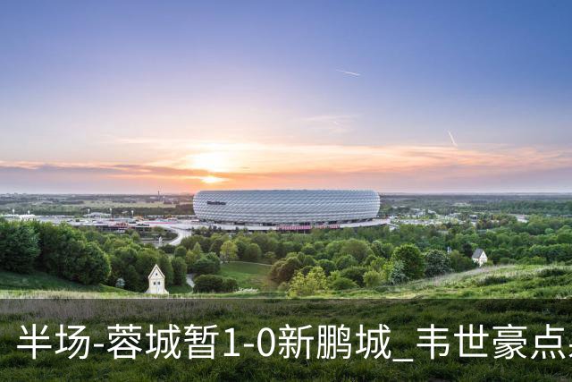 半场-蓉城暂1-0新鹏城 韦世豪点射韦林顿造点双方对抗激烈5人染黄